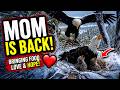 This Moment Will Melt Your Heart… 🦅❤️Not Just Feeding… She’s Building Their Future 😭