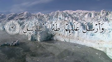 تلاوة سورة الفيل|بصوت القارئ عبدالله مسعد البجيرمي
