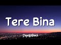 Shreea kaul  tere bina lyrics