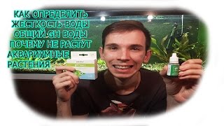 Как узнать жесткость воды в домашних условиях, почему не растут аквариумные растения, что сделать ч