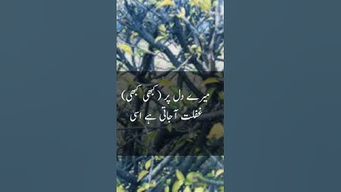 Prophet (SAW) do this 100 times !!!