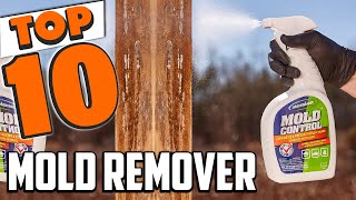 Best Mold Remover In 2024  Top 10 New Mold Removers Review