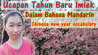 Cara Mengucapkan Tahun Baru Imlek l How to say greeting words in chinese new year l Juliana Sharly