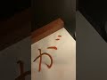 zengyouhouben_ver.32.5《Z Amoon!》hrī apatrāpya_vol.3