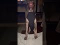 A Cone Alternative Your Dog Might Appreciate 🐶💙 #Ad