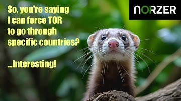 How To Configure Tor Browser To Set Its Exit Node to a Specific Country | Use Bard From Outside USA
