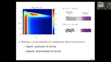 TURW04 | Prof. Mihailo Jovanovic | Oblique transition in separated high-speed flows