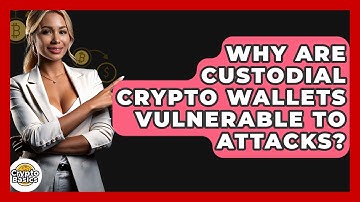 Why Are Custodial Crypto Wallets Vulnerable To Attacks? - CryptoBasics360.com