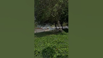وَإِذَا سَأَلَكَ عِبَادِي عَنِّي فَإِنِّي قَرِيبٌ (186) | سورة البقرة