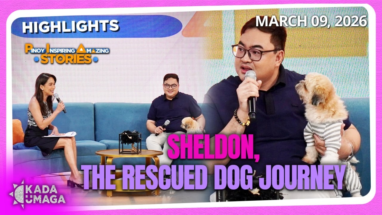 Ang Kuwento ng Rescue Dog na si Sheldon