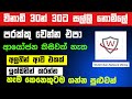 How to get free coin 2023 | e money sinhala | srilanka e money