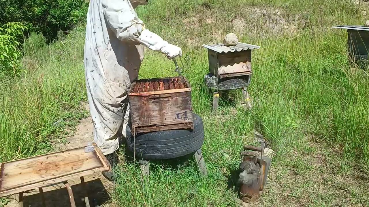 10 de janeiro de 2026