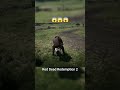 #rdr2 #youtubeshorts #ytshorts #youtube #shorts #shortvideo
