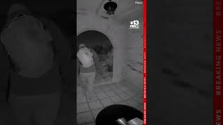 FBI releases video of potential subject in Nancy Guthrie's disappearance