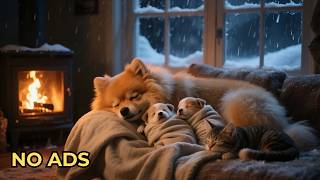 12 Hours of Relaxing Music for Dog🐶💕Soothing Separation Anxiety Relief🎹Peaceful Sleep Aid