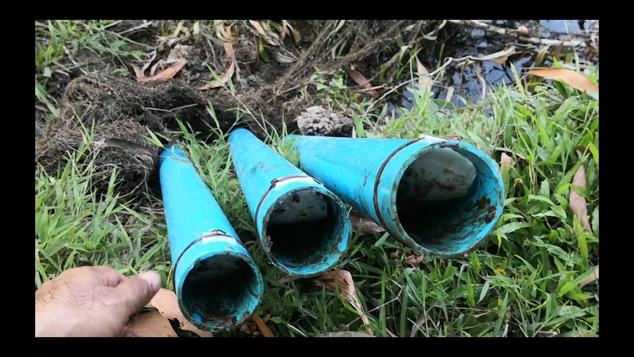 ดักลันปลาไหลใช่เหยื่อ​ชนิด​นี้​ติด​ทุกอัน#ดัก​ปลา​ไหล, เซียน​ปลาไหล​​#วิถี​คนหากิน​แบบ​บ้าน​ๆ​