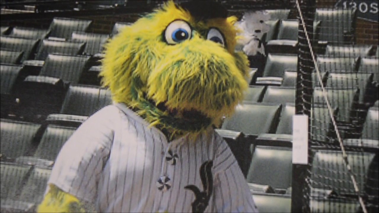 What Exactly is the White Sox Mascot, Southpaw? 