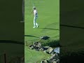 Golfer 🏌️‍♂️ vs. Gator 🐊