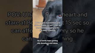 Cancer can't beat friendship! Let's raise $5600 for Bobby and Leo's surgery.🌟🌟(1)👉share&donation
