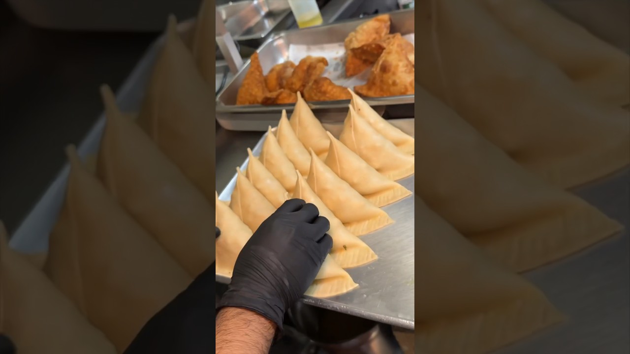Part 1 of 3: We went ALL OUT at Samosa Paradise in Jersey City, NJ and had a BLAST! 🔥 #DEVOURPOWER
