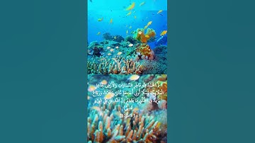 بصوت القارئ محمد أيوب رحمه الله    الآية الأولى من سورة فاطر