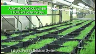 Fodder solutions : feed solutions for horses