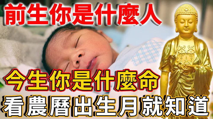 农历出生月里，藏着前世因果大秘密！前生你是什么人？今生你是什么命？看完就有答案！丨禅语 - 天天要闻