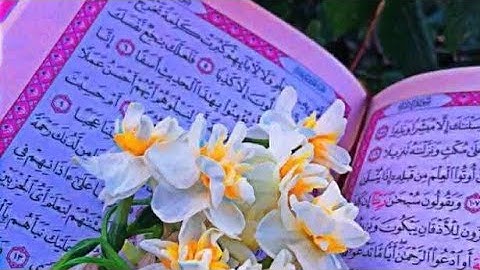 أحكام التجويد التي تتضمنها آية الكرسي من الكتاب المقرر لبرنامج محو الأمية بالمساجد المستوى الثاني 