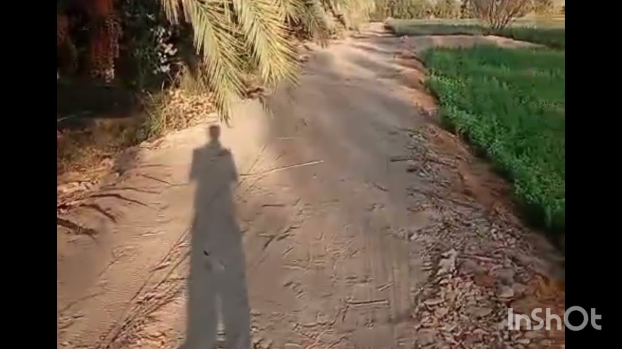 الواحات البحريه قريه الحيز السعر 50الف