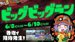 【 スプラトゥーン3 】ビッグビッグランんんんんｎ！？【 ぶいすぽっ！/紫宮るな 】