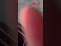 من فعاليه التضامن في مدينة المخاء مع الاشقاء تحت شعار #مصير_واحد_عدو_مشترك