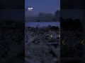 قيادي في حركة حماس القيادي محمد ضيف بخير بعد الغارة الإسرائيلية الجوية بمنطقة المواصي في خان يونس قيادي في حركة حماس القيادي محمد ضيف بخير بعد الغارة الإسرائيلية الجوية بمنطقة المواصي في خان يونس