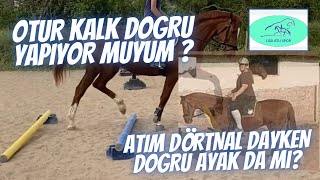 Otur Kalk dogru yapiyormuyum? Atim dörtnal yaparken dogru ayak da mi? #Ateğitim #binicilikeğitim