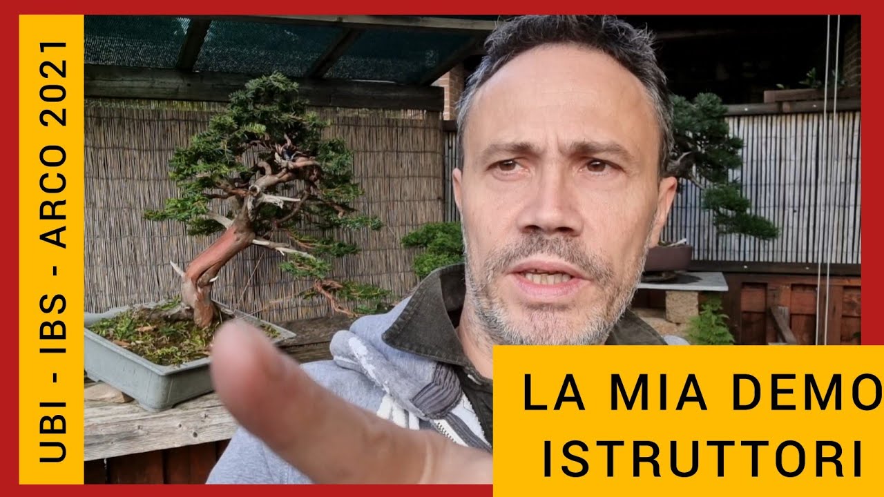 UBI IBS ARCO Bonsai 2021: il tasso lavorato nella mia demo istruttori!