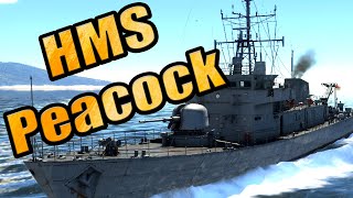 HMS Peacock - Update 1.101 Dev Server - War Thunder