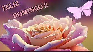 Un  DOMINGO de bendiciones deseo parati !! Míralo te lo dedico🌹