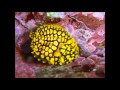 佐世保発~~宮崎延岡グルメの旅~~!!
