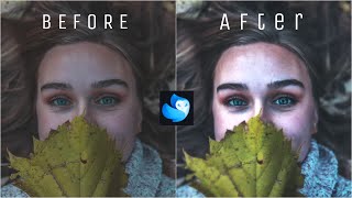 Editing a Photo - Enlight Quickshot screenshot 3