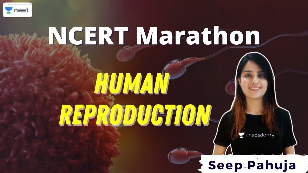 Human Reproduction | NCERT Marathon | Unacademy NEET | Seep Pahuja ...