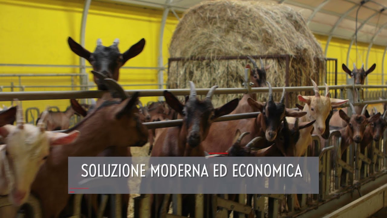 DUEA - Farm Tunnel Ovile