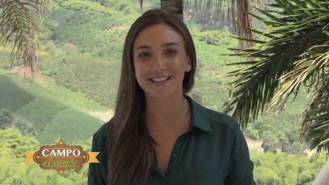 Macadamia Campo al Campo 1