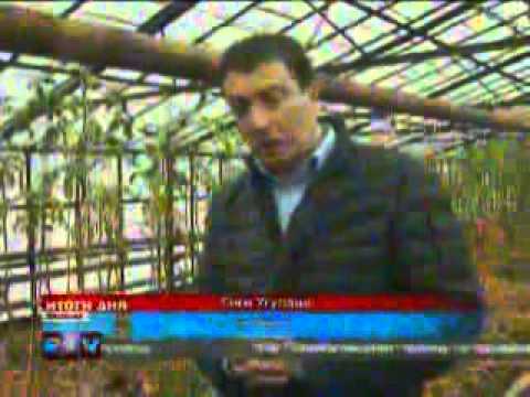 გიგი უგულავამ სათბური დაათვალიერა