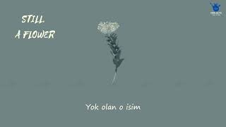 CNBLUE- STILL A FLOWER