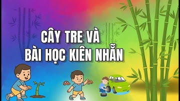 “Cây Tre Và Bài Học Kiên Nhẫn – Câu chuyện truyền cảm hứng cho hành trình trưởng thành”