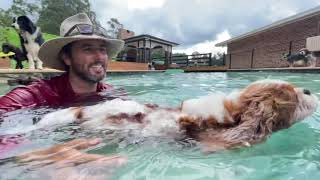 Rainy day, both pools and a Boxer-off in the pool