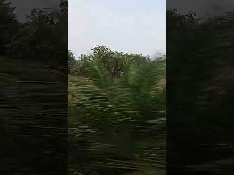 safar #youtubeshorts #love #trendingshorts #viralvideo #travelshorts #explorepage #shortvideo