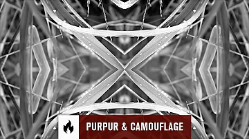 CAPO DI CAPI - Purpur & Camouflage (feat. Danemi Omar)