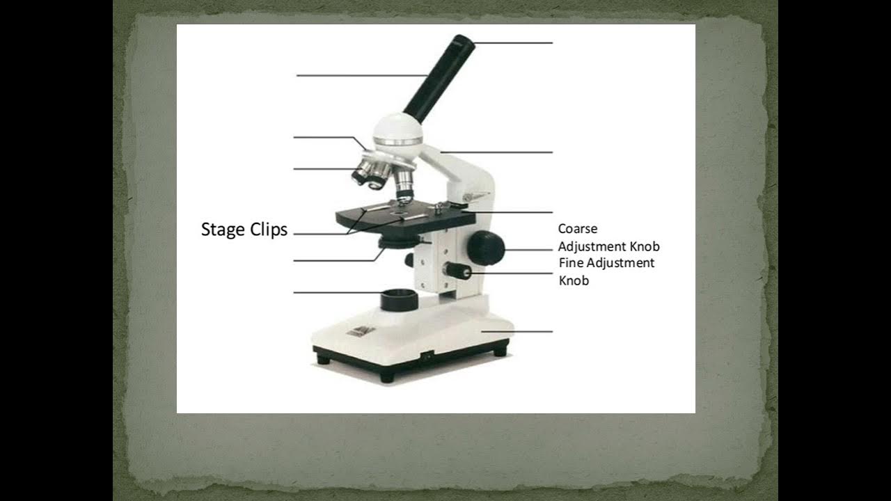 Microscope all parts and it functions in Urdu/Hindi/M IMRAN KHAN YouTube