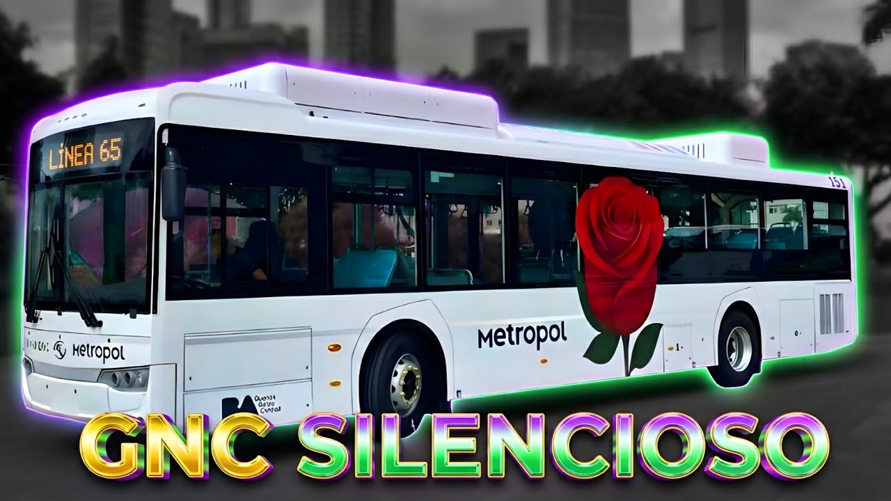 ¡SON INCREIBLES! Así son Los NUEVOS Colectivos CHINOS | Línea 65