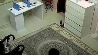 OMG😱😱 moment HOverboard explodes caught on camera